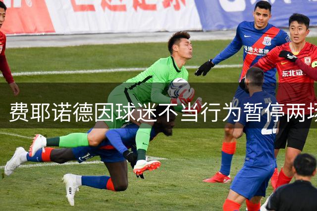 费耶诺德因球迷不当行为暂停两场客场球迷随行